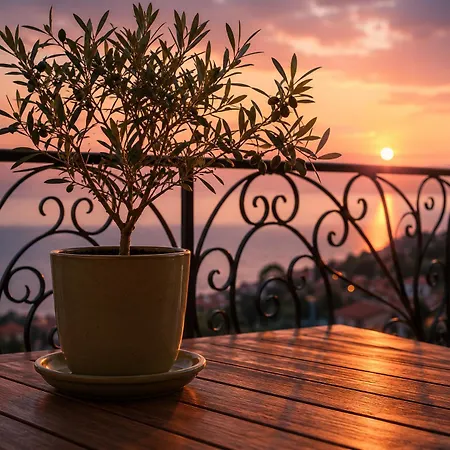 Paxos Elaia - Boutique Apartman *