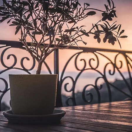 Paxos Elaia - Boutique Apartments